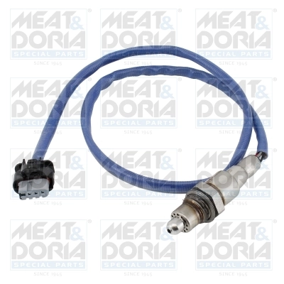 Oxygen Sensor